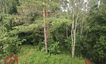Купить участок, Мончаки, Лесная, 15 соток. Фото 5