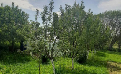 Купить дом, Городок, Заводская, 15 соток. Фото 25