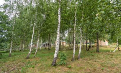 Купить участок, Василевщина, Центральная ул., 12, 22.2 соток. Фото 13
