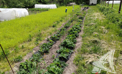 Купить дом, Щебрин, Тельминский с/с, 12.56 соток. Фото 23