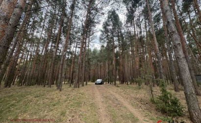 Купить участок, Волки, Речная, 24.3 соток. Фото 11