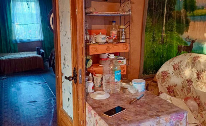 Купить дачу, Тихиничи, Виноградная 161, 10 соток. Фото 3