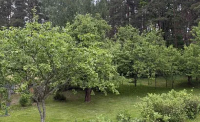  1-этаж.(94.4 м2), Зеленая(Привокзальная ул.)
