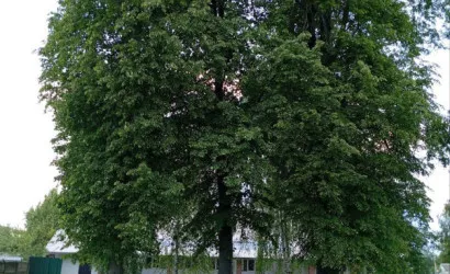  1-этаж.(267 м2), Тереховка(Спортивная, 1А)