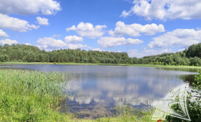 Купить дом в деревне, Рожковка, Дмитровичский с/с, 25 соток. Фото 33