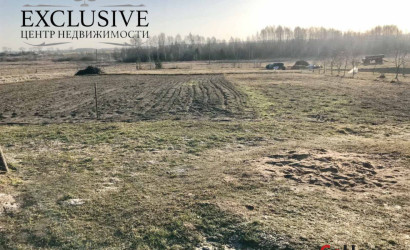 Купить дом, Залужье, Центральная ул., 53, 25 соток. Фото 22