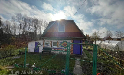 Купить дом в деревне, УЗВЫШША, 10 соток. Фото 12