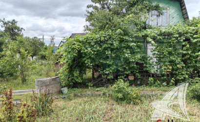 Купить дачу, Брест, Чернавчицкий с/с, 4.99 соток. Фото 2