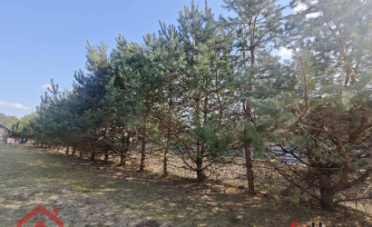 Купить участок, Мочаны, Заречная, 33Б, 11.94 соток. Фото 23