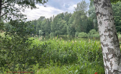 Купить коттедж, Брест, ул. Вересковая, д. , 10 соток. Фото 5