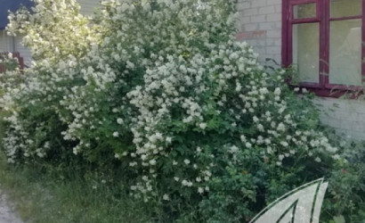 Купить дачу, Брест, Мотыкальский с/с, 5.11 соток. Фото 4