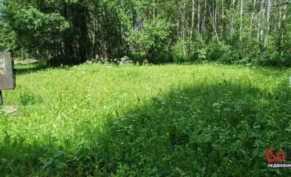  Олехновичи(15)