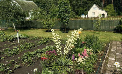 Купить дом в деревне, Гаевка, Виноградная, 98, 10 соток. Фото 36