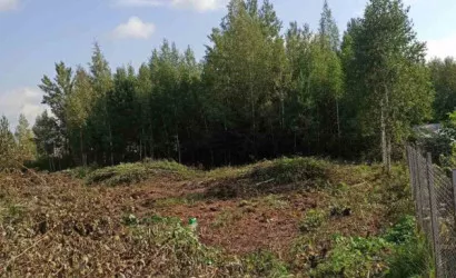  Минск(Криничная)