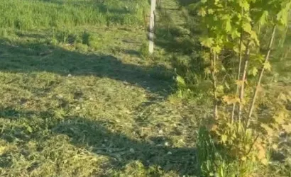  Галимцы(40В)