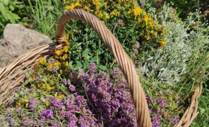 Купить дом, Хутор Лепенка, 21 соток. Фото 34