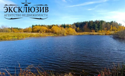 Купить участок, Гиревичи, 25 соток. Фото 13