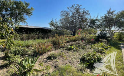 Купить дачу, Брест, Мотыкальский с/с, 5.59 соток. Фото 24