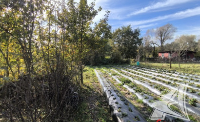 Купить дом, Костычи, Клейниковский с/с, 16.52 соток. Фото 12