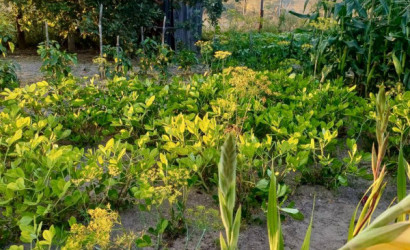 Купить дачу, Тихиничи, Виноградная 161, 10 соток. Фото 10