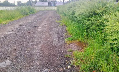  Сеница