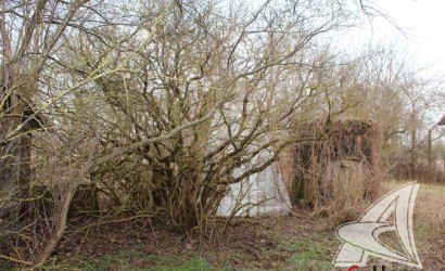 Купить дом, Зеленец, Чернавчицкий с/с, 25 соток. Фото 6