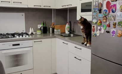 Купить 1-комнатную квартиру, Брест, Писателя Смирнова ул.. Фото 4