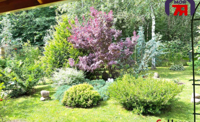 Купить дом в деревне, Чистая Криница, 8.92 соток. Фото 46