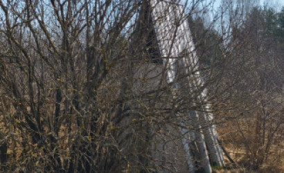 Купить дачу, Бабино-1, Химовский с/с, Бобруйский р-н, Могилевская обл , 6 соток. Фото 7