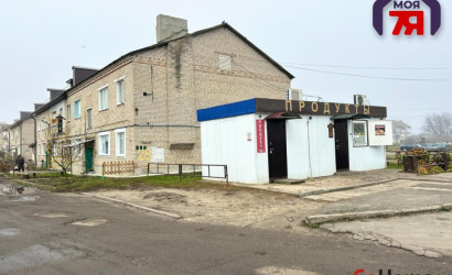 Купить 1-комнатную квартиру, Старобин, Майская ул., 28. Фото 12