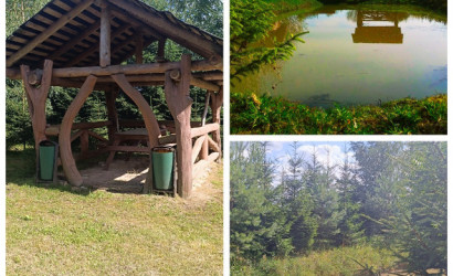 Купить дом, Протасовщина, Лесная 18, 80 соток. Фото 13