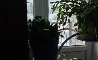 Снять 5-комнатную квартиру на сутки, Браслав, 5-ый Кирпичный переулок, д. 9. Фото 7