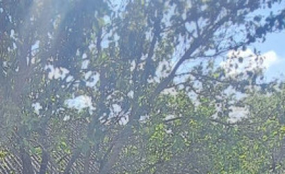 Купить дом, Витебск, 6-я Совхозная, 5.17 соток. Фото 4