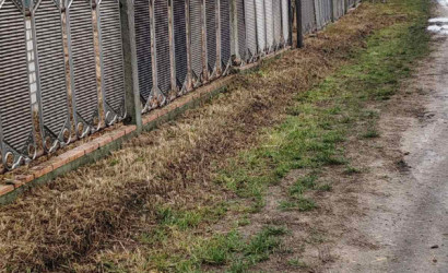 Купить участок, Ракитница, Ракитницкий с/с, 25 соток. Фото 10