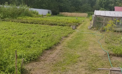 Купить дом в деревне, Залесье, Лесная, 1, 15.75 соток. Фото 5