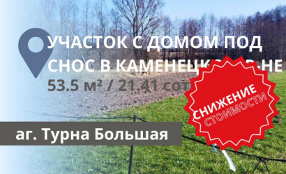 Купить дом, Турна Большая, 21.41 соток. Фото 8