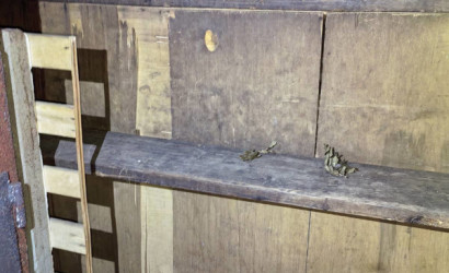 Купить дачу, Лида, Черничная, 8 соток. Фото 7