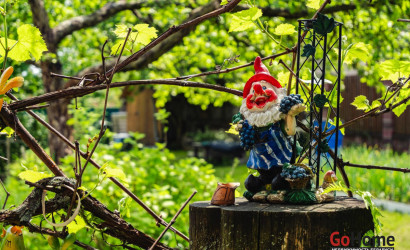 Купить дом в деревне, Овощевод, 8.22 соток. Фото 11