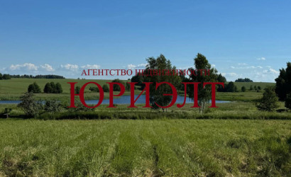  1-этаж.(45.4 м2), Браково(Центральная)