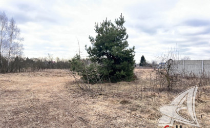 Купить дом, Залесье, Чернинский с/с, 25 соток. Фото 2