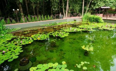 Продажа помещения под сферу услуг, Полонка, Жемчужненский с/с, д.Детковичи,  1500 кв.м.. Фото 2