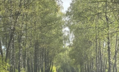 Купить 3-комнатную квартиру, Устье, Центральная. Фото 13