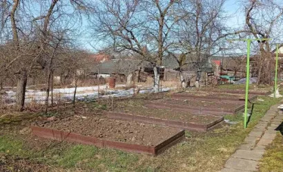  Купить дом