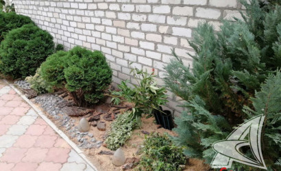 Купить дачу, Брест, Чернавчицкий с/с, 8 соток. Фото 28