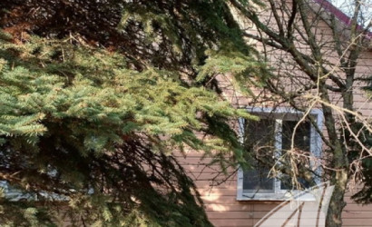 Купить дом, Деменичи, Хмелевский с/с, 25 соток. Фото 34