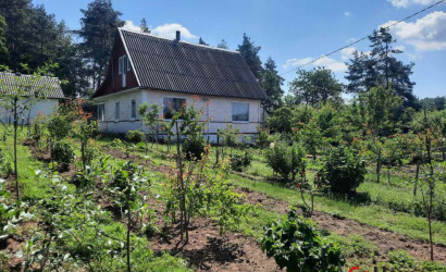 Купить дачу, Автотранспортник, 16 соток. Фото 4