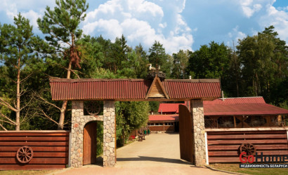 Снять на сутки дом, Омневичи, Центральная, 46. Фото 9