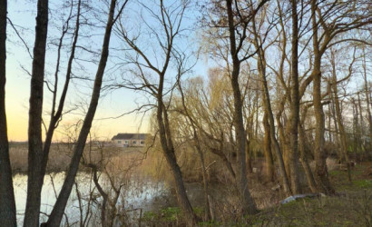 Купить дом, Ляховичи, Спокойный, 14.9 соток. Фото 13