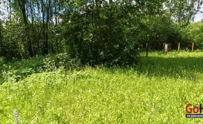  Олехновичи