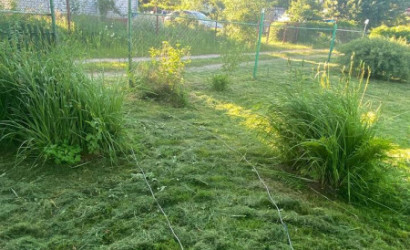 Купить дачу, Негорелое, Чистая Росинка, 6 соток. Фото 2